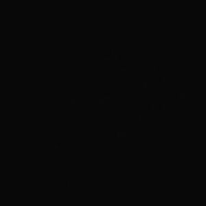 Meet your Posher, Melody